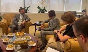 دیدار غریب‌آبادی با رئیس صلیب سرخ جهانی در محل نمایندگی دائم ایران در سازمان ملل/ ویدئو