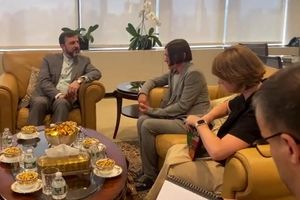 دیدار غریب‌آبادی با رئیس صلیب سرخ جهانی در محل نمایندگی دائم ایران در سازمان ملل/ ویدئو