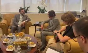 دیدار غریب‌آبادی با رئیس صلیب سرخ جهانی در محل نمایندگی دائم ایران در سازمان ملل/ ویدئو