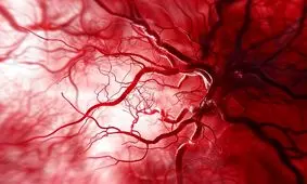 هیدروژل جدیدی که رگ‌ها را پس از سکته ترمیم می‌کند

