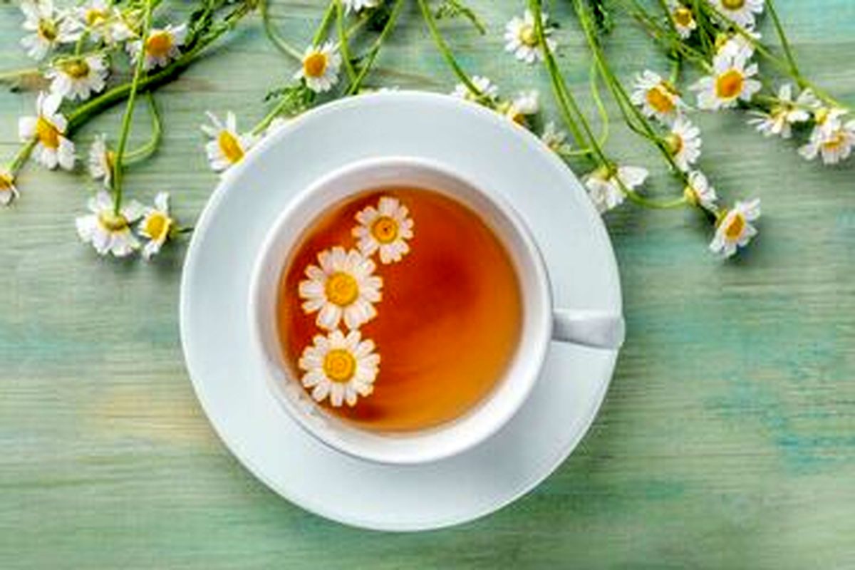 بهترین آنتی هیستامین های طبیعی