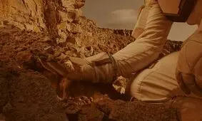 اولین ساکنان سیاره سرخ چه خواهند کاشت؟