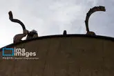 172879671_MAS11868
