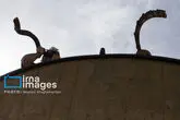172879671_MAS11868