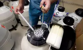 چرا زنان اروپایی برای باردار شدن اسپرم مردان دانمارکی‌ را انتخاب می‌کنند؟ 