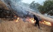 تصاویری از آتش سوزی مراتع سرپل ذهاب/ ویدئو