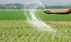 کودهای شیمیایی ازته فسفره و پتاسه