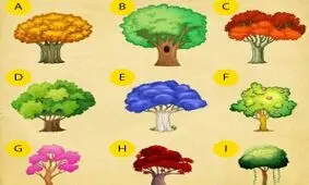 تست شخصیت شناسی/ شما کدام درخت را انتخاب می کنید؟