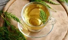 ۷ فایده شگفت انگیز گیاهی که شبیه دم اسب است