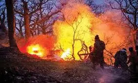 اولین تصاویر از حجم خسارت آتش‌سوزی جنگل‌های الیت/ ویدئو