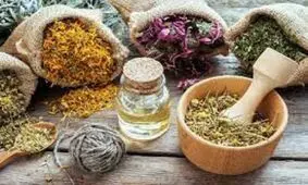 ماساژ بدن با روغن بابونه برای کاهش بدن درد مبتلایان به کرونا