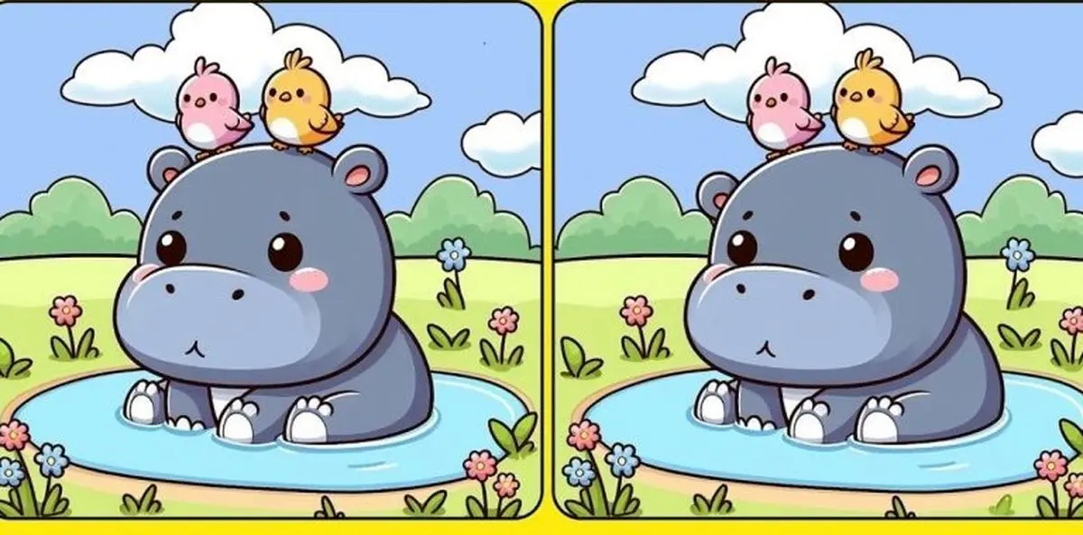 فقط تیزبین ها می توانند در 8 ثانیه 3 تفاوت تصویر بچه اسب آبی را پیدا می کنند