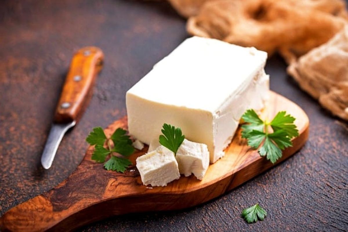 تولید پنیر بدون نیاز به شیر گاو/ لبنیات تخمیری چیست؟

