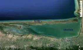 مالک پتروشیمی میانکاله و ابر بدهکار بانک توسعه صادرات کیست؟