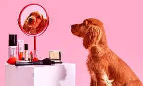 بهترین مارک لوازم آرایشی بدون تست حیوانی