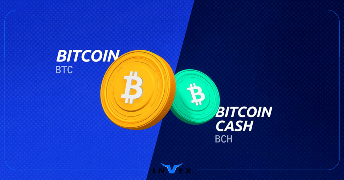 تفاوت بیت کوین و بیت کوین کش: بررسی تفاوتها و شباهتها