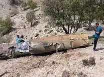 وقتی شکارچی اسرائیلی طعمه می شود/ ویدئو
