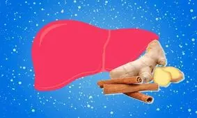 برای سلامت کبد سراغ کدام ادویه ها برویم؟