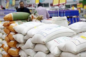 گران‌ترین کیسه برنج خارجی؛ کیلویی ۶۵ هزار تومان
