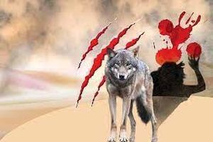 حمله خونین گرگ یا کفتار به ۸ نفر در نیشابور 