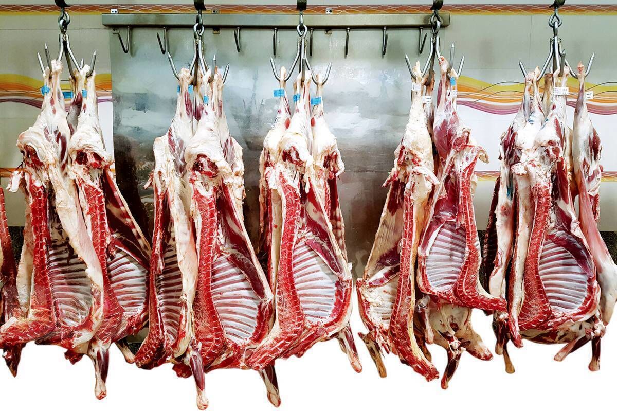 آنها که گوشت را حتی قسطی هم نمیتوانند بخرند
