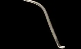 «قاشق توالت» دو هزارساله‌ای که به عنوان «گنج» شناخته شد