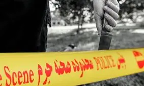 سفر به ایران برای انتقام عشق نافرجام