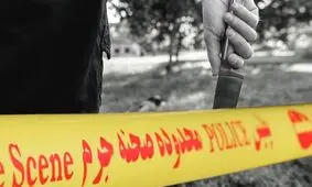 برادرکشی وحشتناک با دستگاه چمن زنی برقی