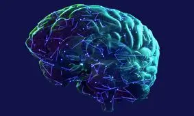 برخی اشکال پروتئین ها بیانگر ابتلا به بیماری پارکینسون است 