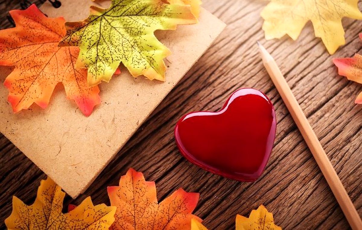پاییز که می آید، غم خاصی همراهش است/ ویدئو