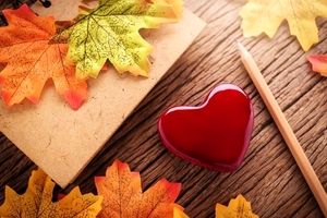 پاییز که می آید، غم خاصی همراهش است/ ویدئو