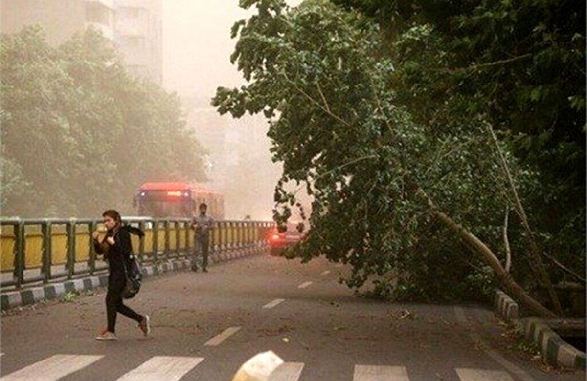 وزش باد شدید در راه تهران/ مردم مراقب سازههای موقت باشند