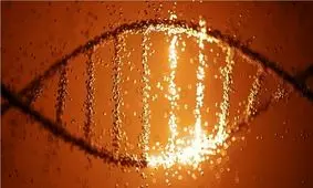 تأییدیه FDA برای نخستین ویرایشگر ژنی جهت درمان کلسترول