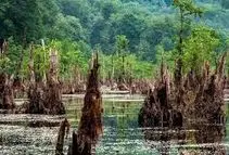 دریاچه ارواح بوشهر/ ویدئو 