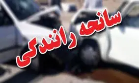 مرگ دلخراش نوجوان 12 ساله زیر چرخ های ماشین / ویدئو
