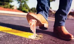 آدامس جویده شده معمای قتل یک زن جوان را پس از 4 دهه در آمریکا حل کرد

