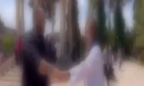 انتشار ویدئوی خواستگاری به سبک غربی در حافظیه شیراز و بازداشت 2 مدیر مجموعه/ مدیرکل میراث فرهنگی استان از حضور در محیط اداری منع شد/ ویدئو