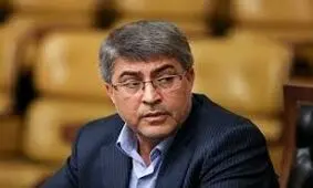 وکیلی: تاثیر مجلس بر دولت بیشتر از تاثیر پزشکیان است