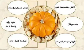 روغن تخم کدو تنبل چیست؟ تغذیه، فواید و موارد مصرف
