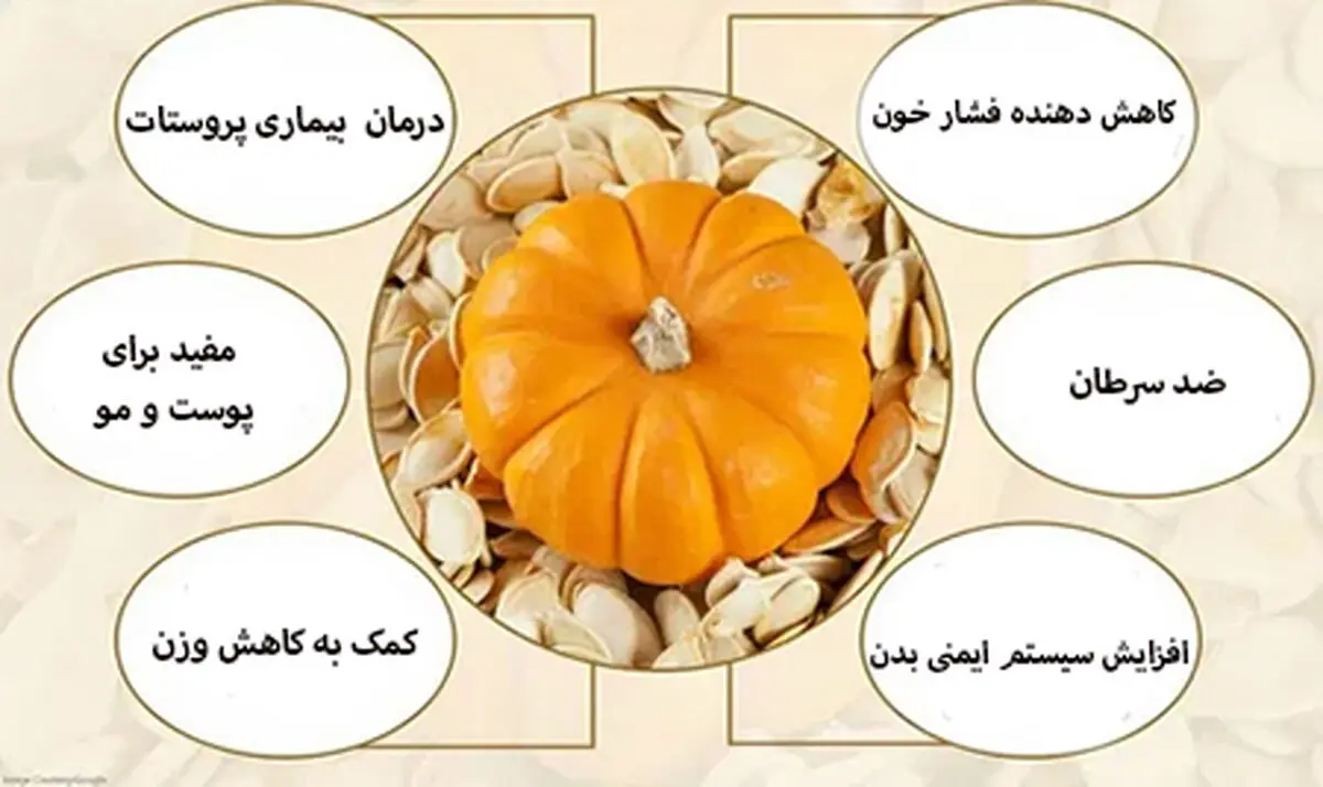 روغن تخم کدو تنبل چیست؟ تغذیه، فواید و موارد مصرف