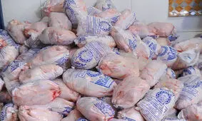 کشف و ضبط ۹۰۰ تُن مرغ منجمد احتکار شده در شیراز