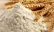 ذخایر گندم و آرد کشور در وضعیت مطلوب/ نانوایی‌ها حق تعطیلی خودسرانه ندارند
