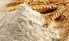 ذخایر گندم و آرد کشور در وضعیت مطلوب/ نانوایی‌ها حق تعطیلی خودسرانه ندارند