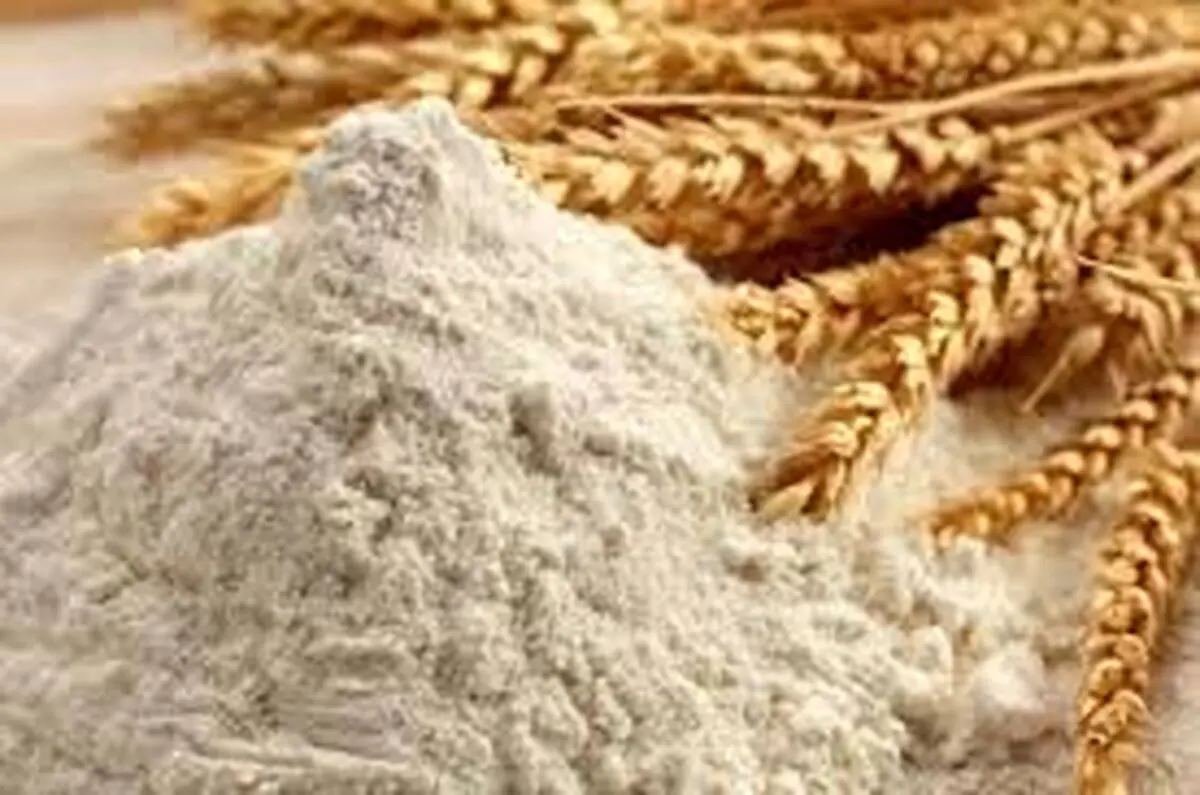 ذخایر گندم و آرد کشور در وضعیت مطلوب/ نانوایی‌ها حق تعطیلی خودسرانه ندارند