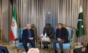 وزیر کشور وارد اسلام‌آباد شد