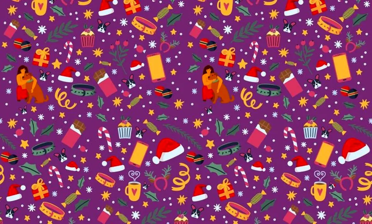 تست بینایی/ آیا می توانید توله سگ دارای کلاه کریسمس را در این تصویر پیدا کنید؟ 