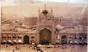 شتر پناهنده به حرم امام رضا(ع) نجات پیدا کرد