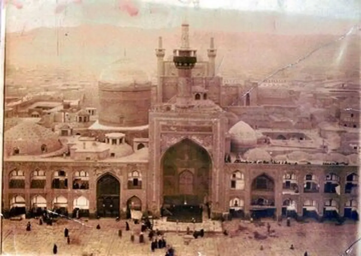 شتر پناهنده به حرم امام رضا(ع) نجات پیدا کرد