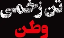 تن زخمی وطن​؛ ۴۰ روز از وقایع تلخ ۱۸ و ۱۹ دی‌ماه و پرکشیدن هزاران جوان این مرز و بوم گذشت