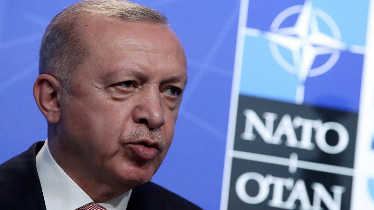اردوغان: با عضویت سوئد و فنلاند در ناتو موافق نیستیم